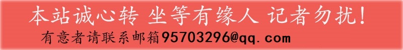 对闺蜜说的暖心的话(对闺蜜说的暖心的话简短)