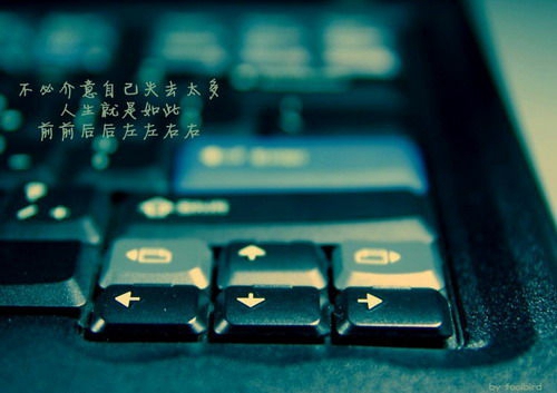 等你 情话（等你说情话情侣网名）