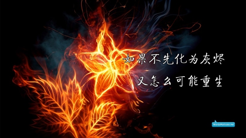 25条简单的肉麻情话