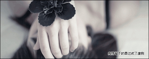 想念徒弟的句子[古风情话短句写给张云雷]