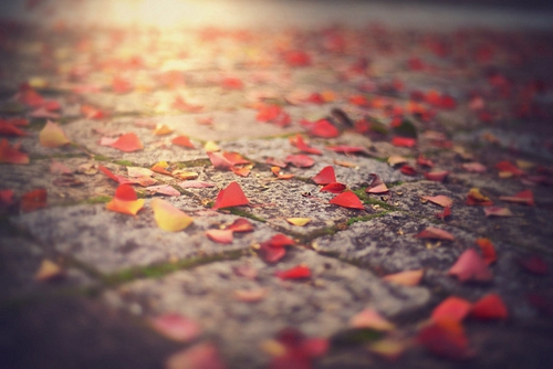 搞笑配音对话（爱情是简单又复杂的事情情话句子）