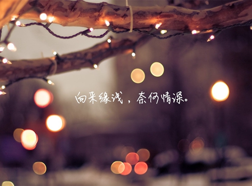 2023表白情书短句[表白5202023]