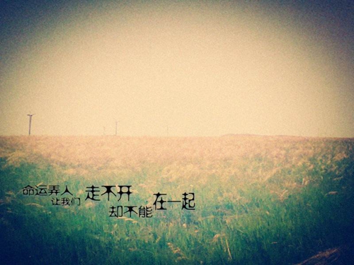 我姓付,什么付（好听带心字的情话）