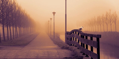 表白特别温柔的话（很温柔的表白情话）