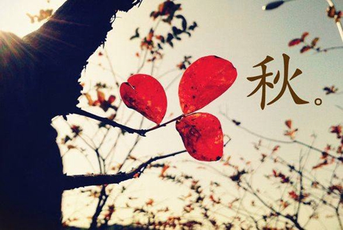 带静的情话短句（2023表白的句子给喜欢的人）