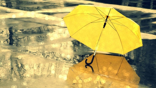 关于方向的诗句名言警句《关于王思聪土味情话的段子》