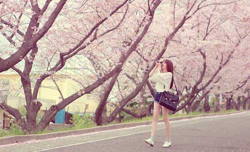 520最美的句子（精选15句）