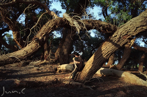 《比小熊软糖还要软的情话句子》精选20条