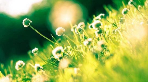 给娘娘晚安的话（给娘子晚安的情话）