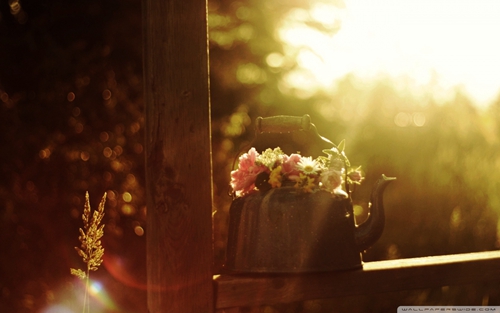 年龄经典语录短句情话（年龄的句子说说心情）