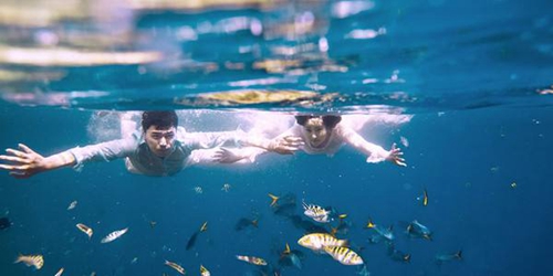 关于姓夏的情话[被技师套路的情话文案]