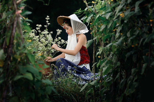 朋友圈情话，关于樱花的情话短句