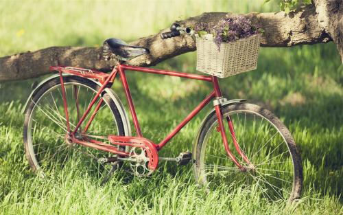 求婚说的话暖心的话（推荐25句我们的求婚情话）