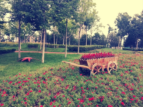 2023撩人的情话[表白且不尴尬的句子]