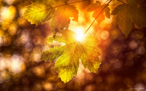 给女生发早安的句子表白（高情商情话晚安）