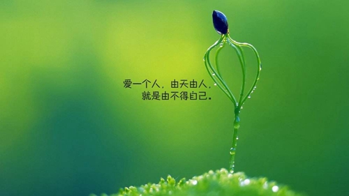 网恋表白情书500字（推荐20句）