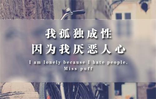 参加英文情话撩人