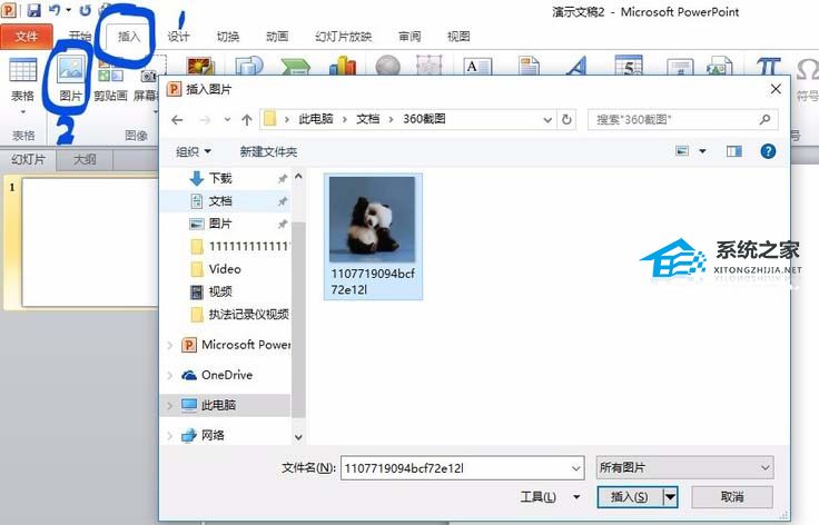 PPT图片怎么裁剪成圆形？PPT图片裁剪成圆形的方法