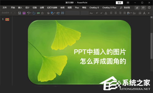 PPT怎么让图片边缘变圆角？PPT图片边角变成圆形的方法