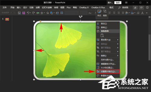 PPT怎么让图片边缘变圆角？PPT图片边角变成圆形的方法